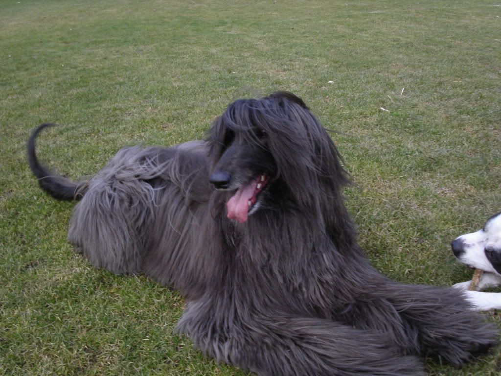 Bild140.jpg