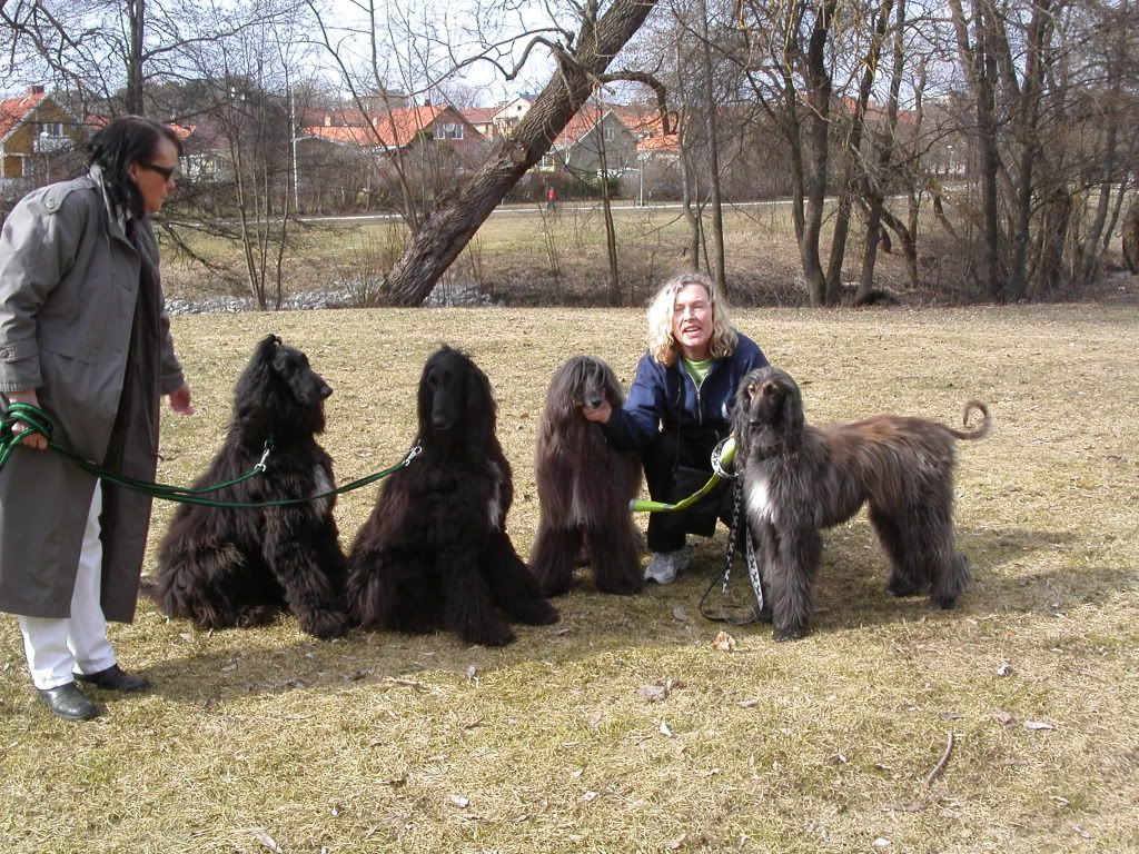 Bild143.jpg