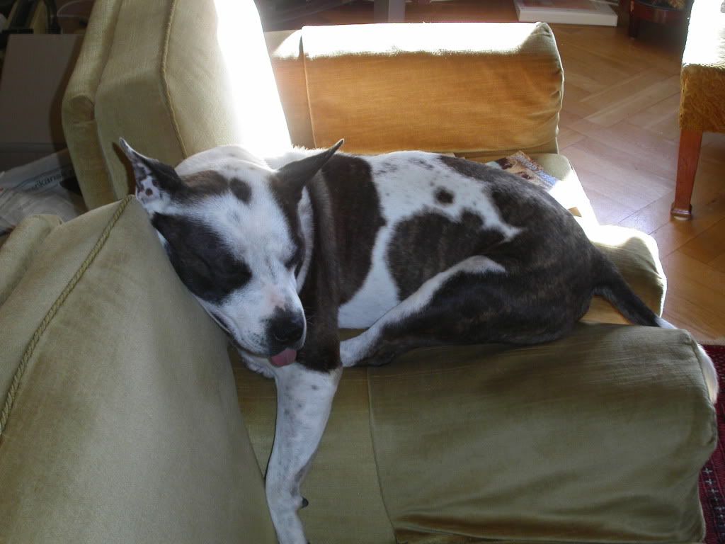 PICT0012.jpg