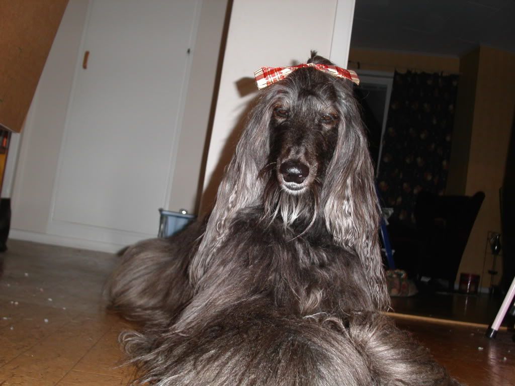 PICT0172.jpg