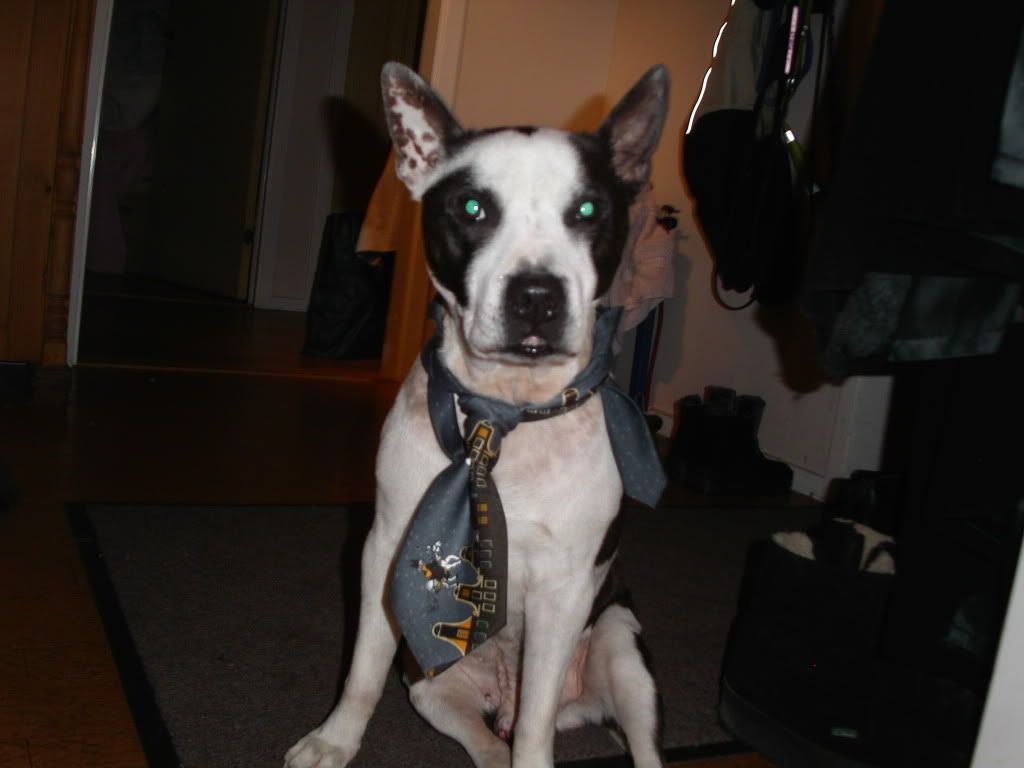 PICT0174.jpg