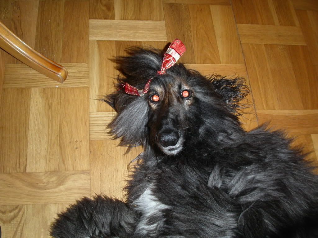 PICT0175.jpg