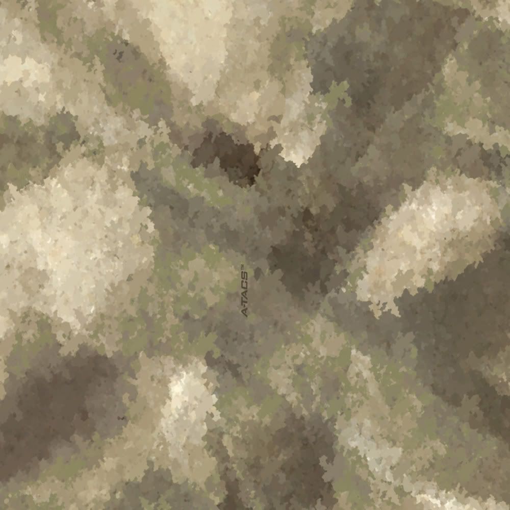 atacs-11x111.jpg