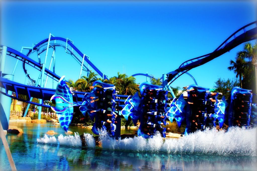 roller coaster Pictures, Images and Photos