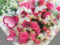 photo 08fahc8IW.gif