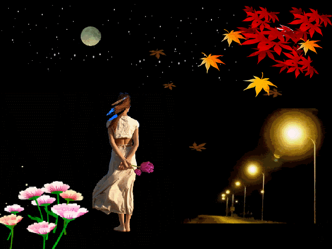  photo 11da747833fg215jpg.gif