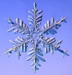 Snowflake - Dendrite