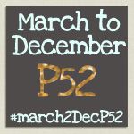 march to december