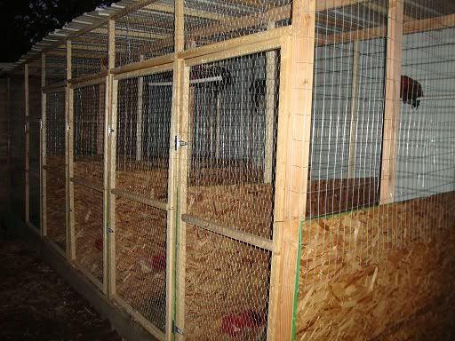 Flypens+for+Gamefowl Gamefowl Fly Pens http://www.sabong.net.ph/forum/showthread.php?t ...