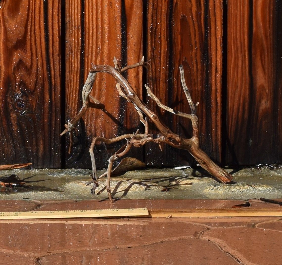 DSC_2602_zps20xdzmzp.jpg