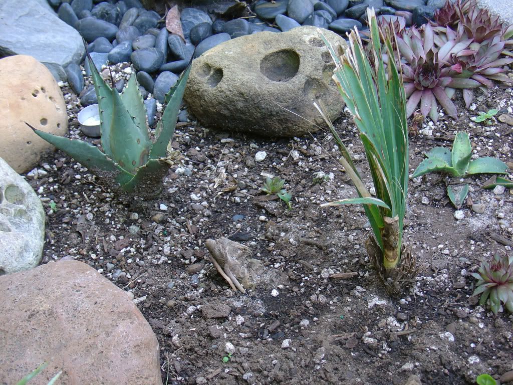 DSC00005-3.jpg