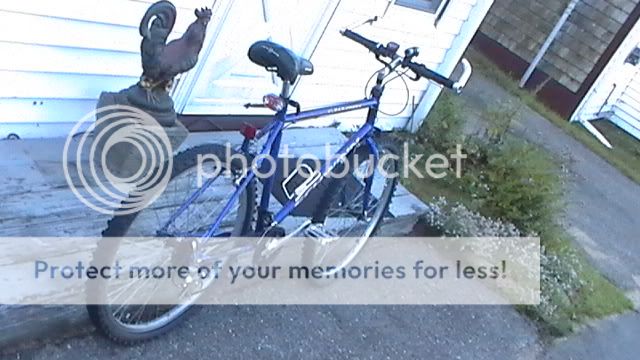 1995 schwinn clear creek mountain bike